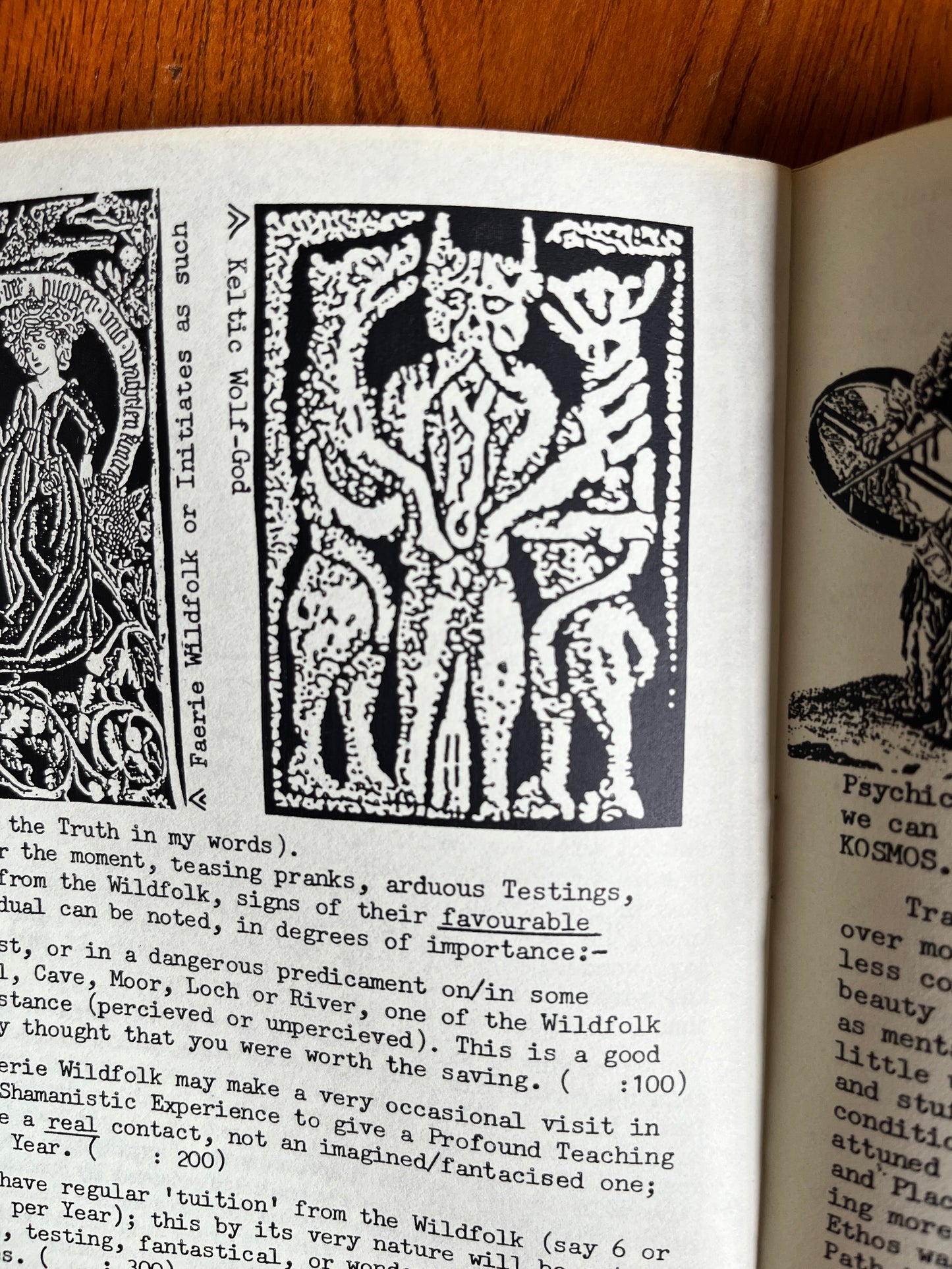 Druidism: An Assessment - Kaledon Naddair (RARE ZINE)