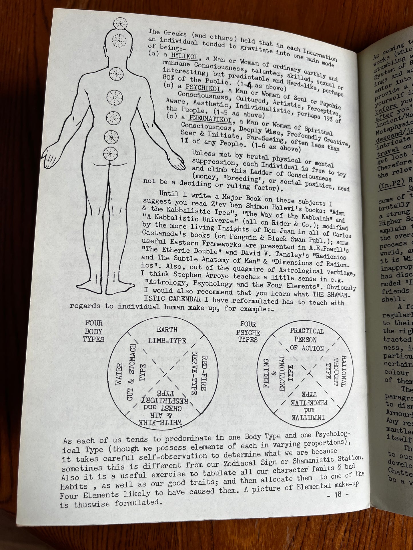 Druidism: An Assessment - Kaledon Naddair (RARE ZINE)