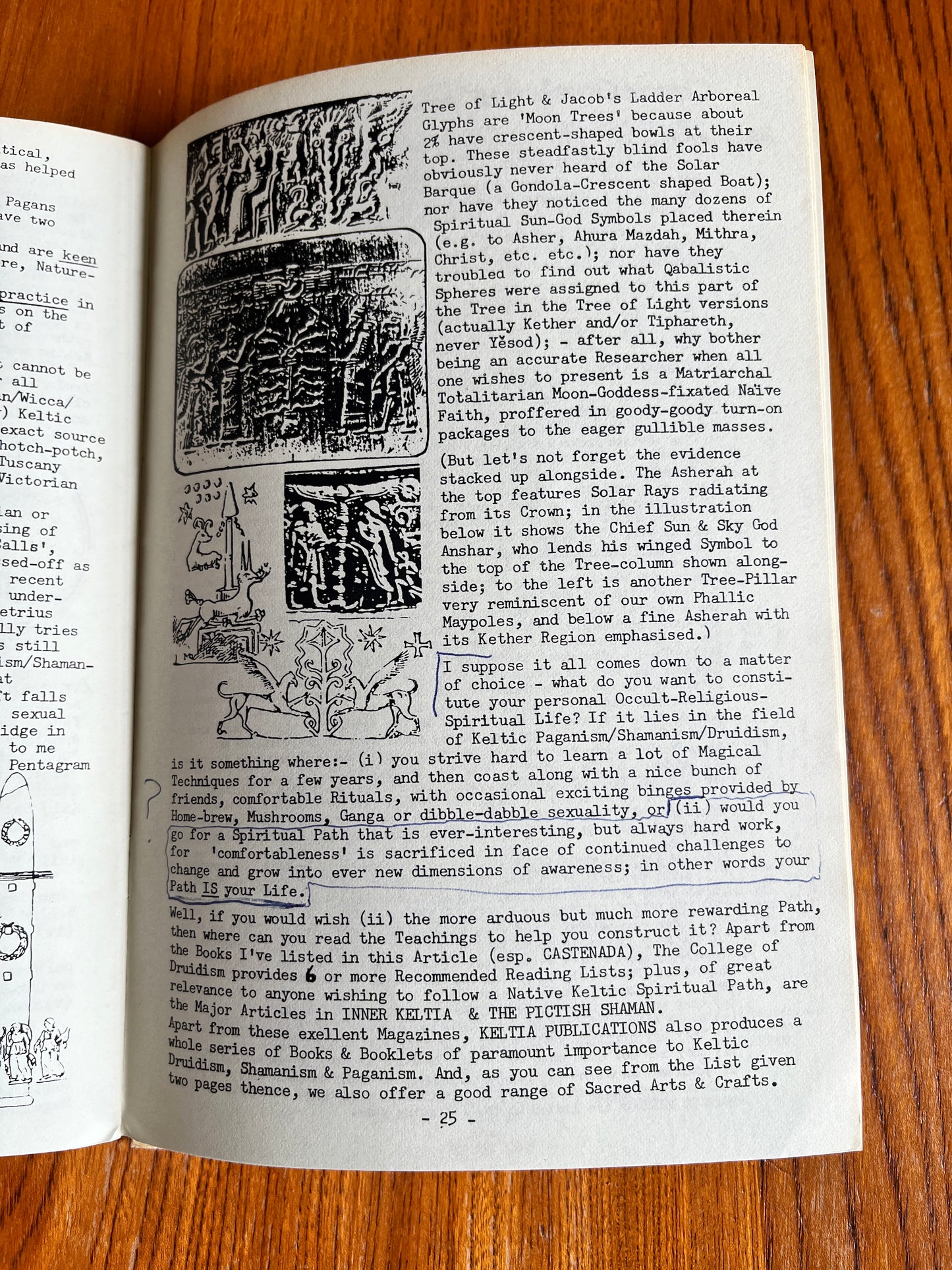 Druidism: An Assessment - Kaledon Naddair (RARE ZINE)
