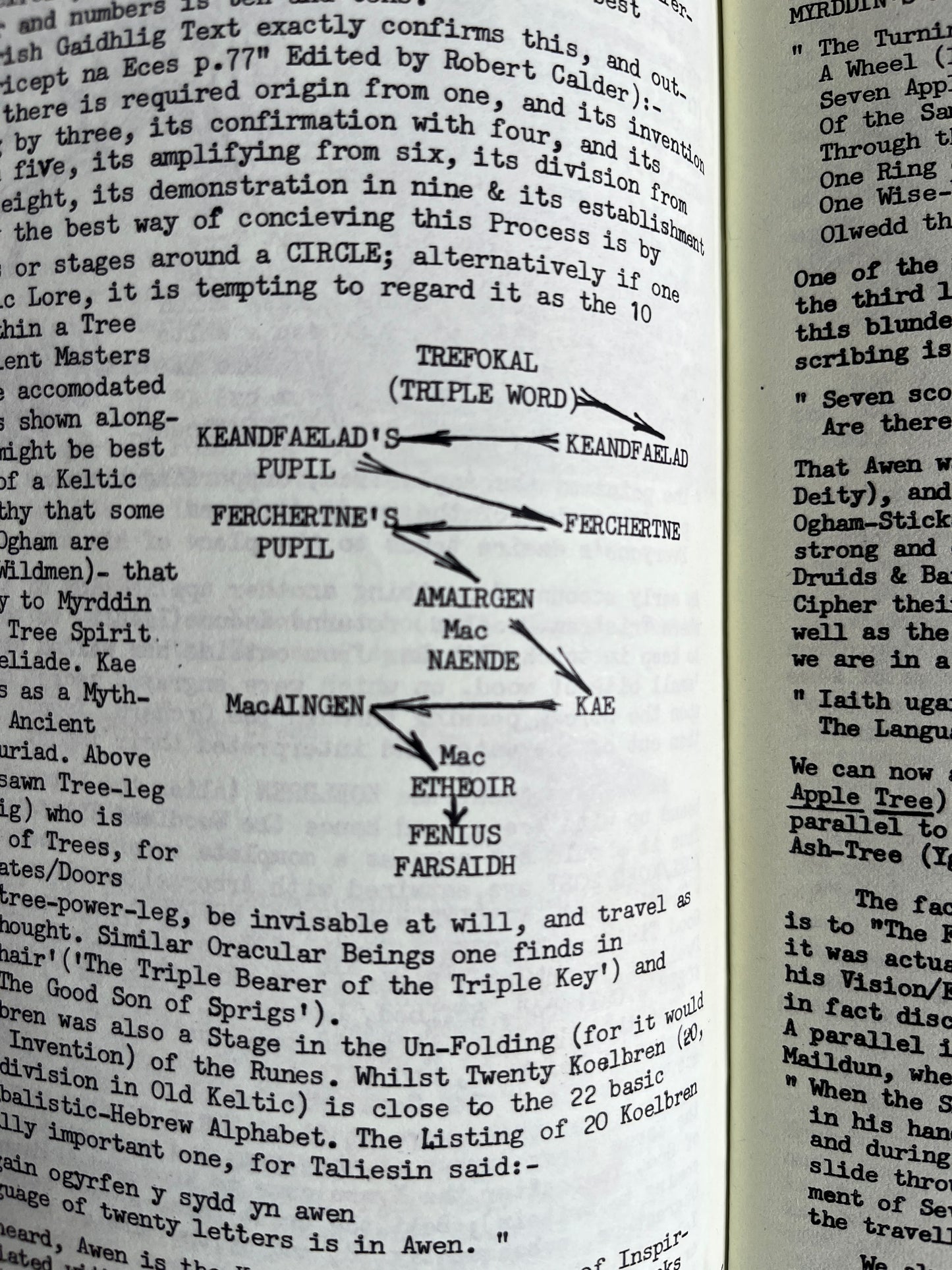 Ogham, Koelbren and Runic: Shamanistic Divination Scripts of Britain and Europe - Kaledon Naddair (Vol 1 & 2)