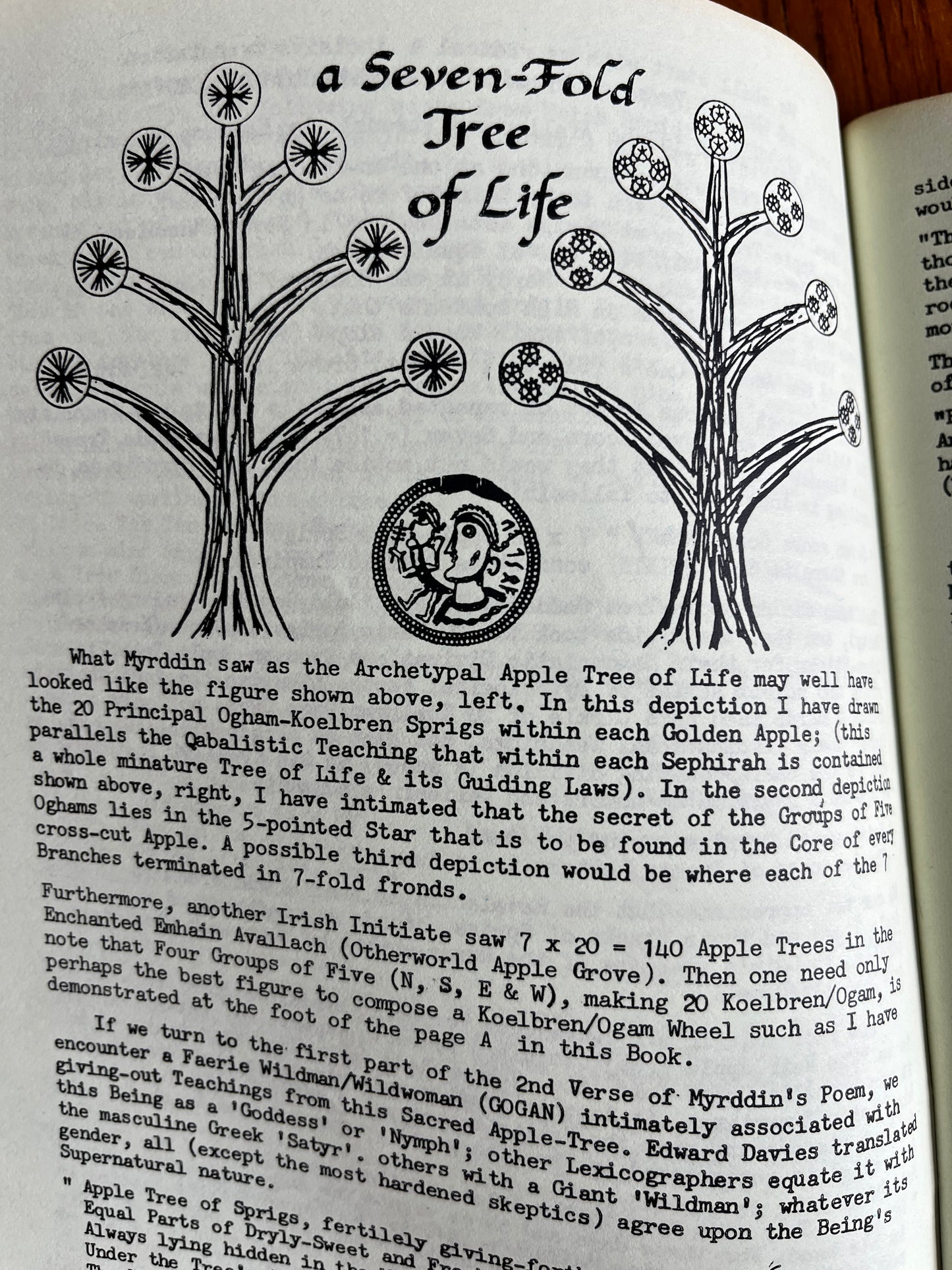 Ogham, Koelbren and Runic: Shamanistic Divination Scripts of Britain and Europe - Kaledon Naddair (Vol 1 & 2)