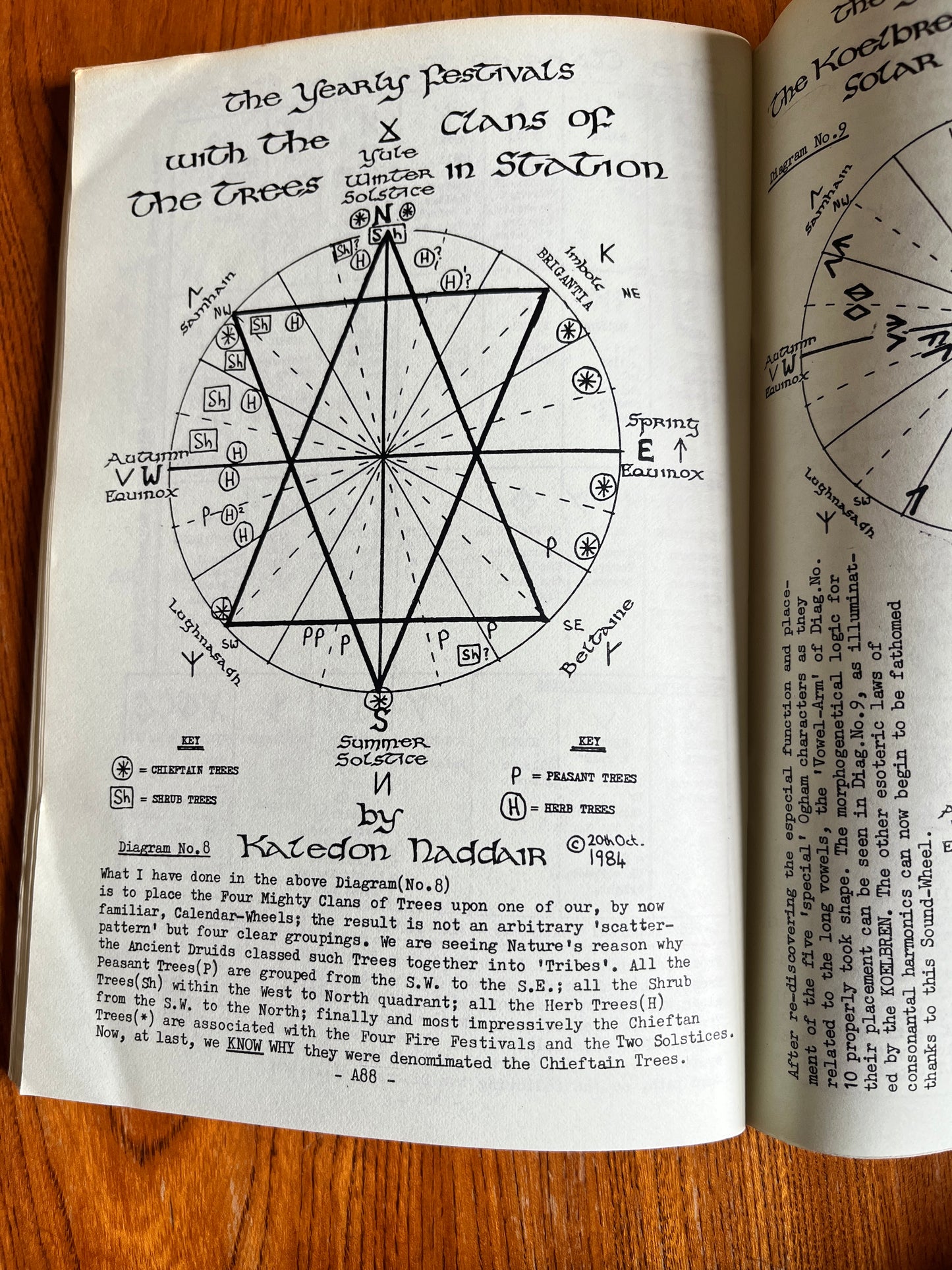 Ogham, Koelbren and Runic: Shamanistic Divination Scripts of Britain and Europe - Kaledon Naddair (Vol 1 & 2)