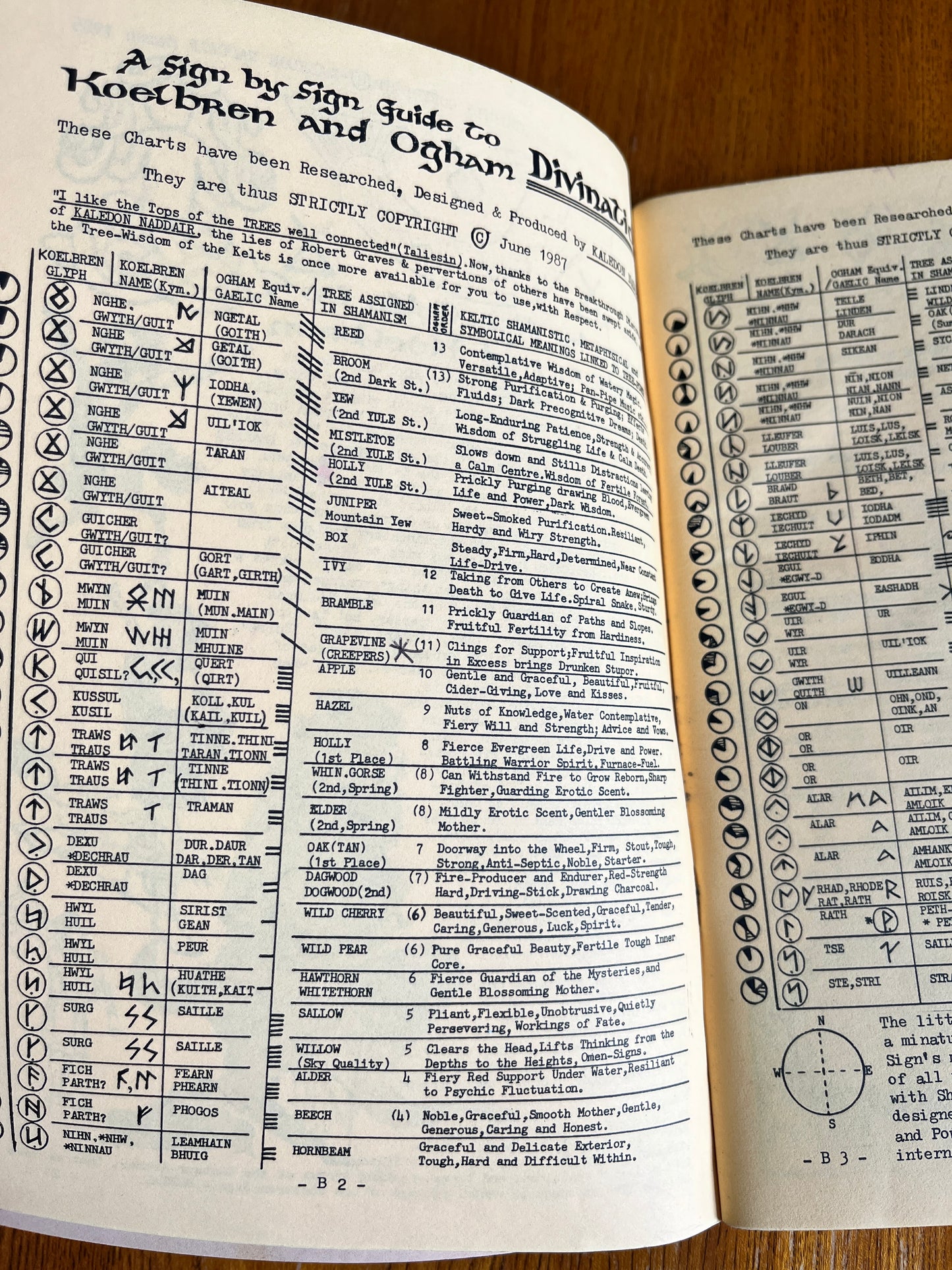 Ogham, Koelbren and Runic: Shamanistic Divination Scripts of Britain and Europe - Kaledon Naddair (Vol 1 & 2)