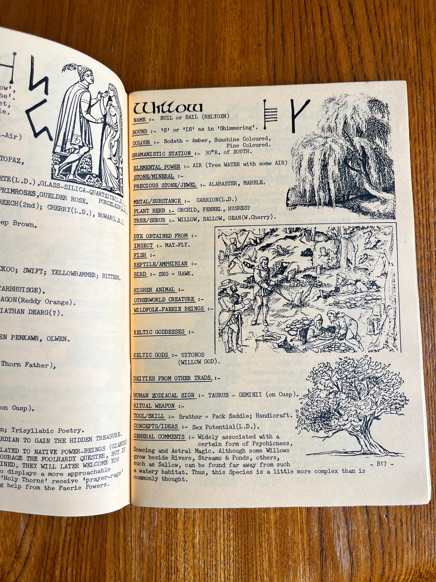 Ogham, Koelbren and Runic: Shamanistic Divination Scripts of Britain and Europe - Kaledon Naddair (Vol 1 & 2)