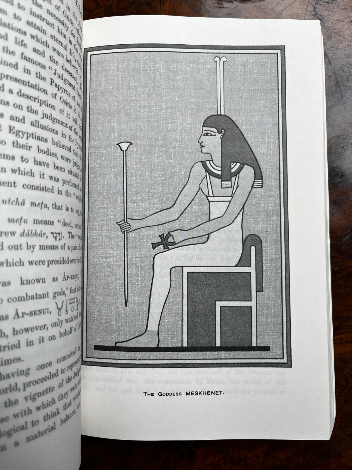 The Gods of the Egyptians - E A Wallis Budge