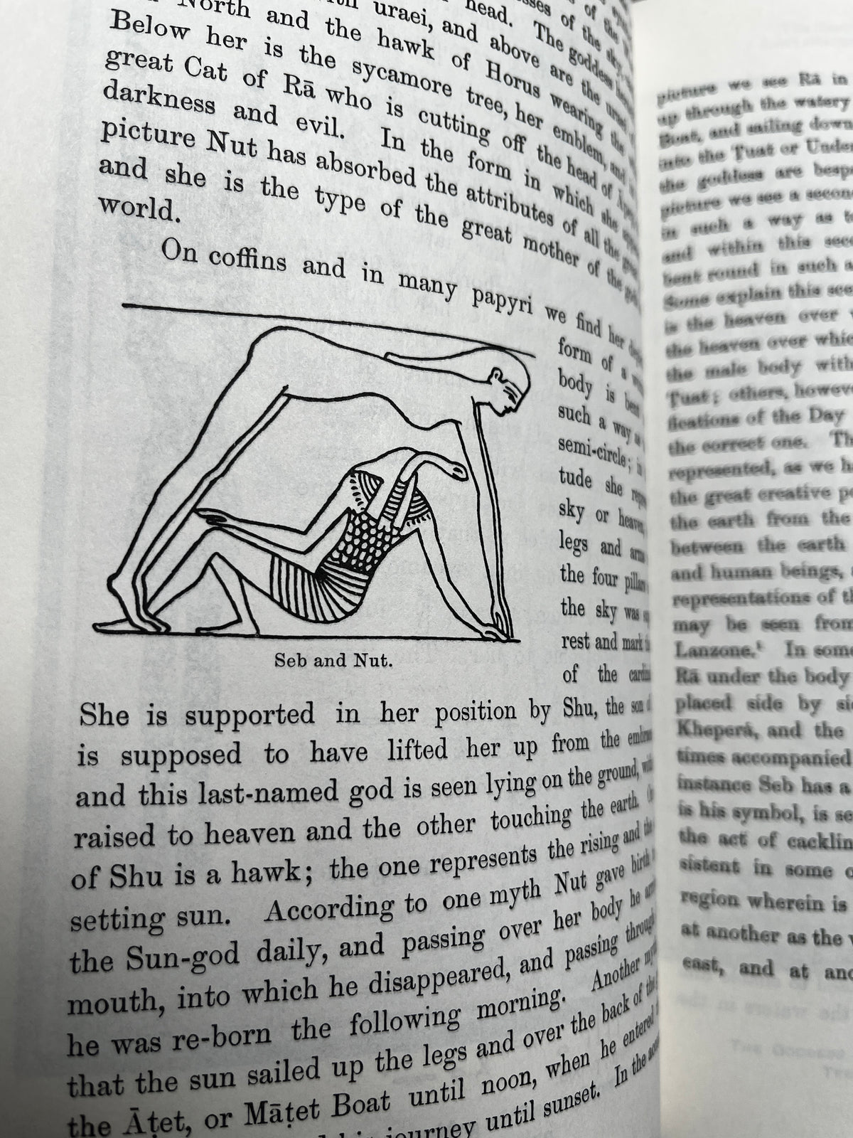 The Gods of the Egyptians - E A Wallis Budge