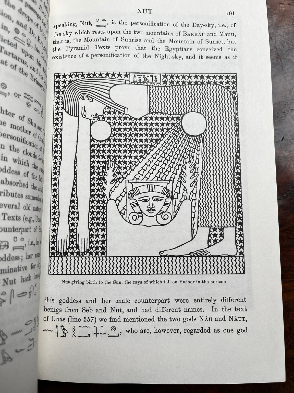 The Gods of the Egyptians - E A Wallis Budge