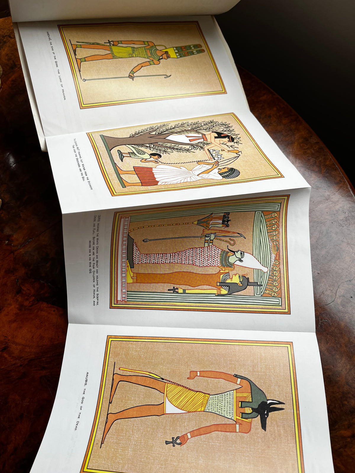 The Gods of the Egyptians - E A Wallis Budge