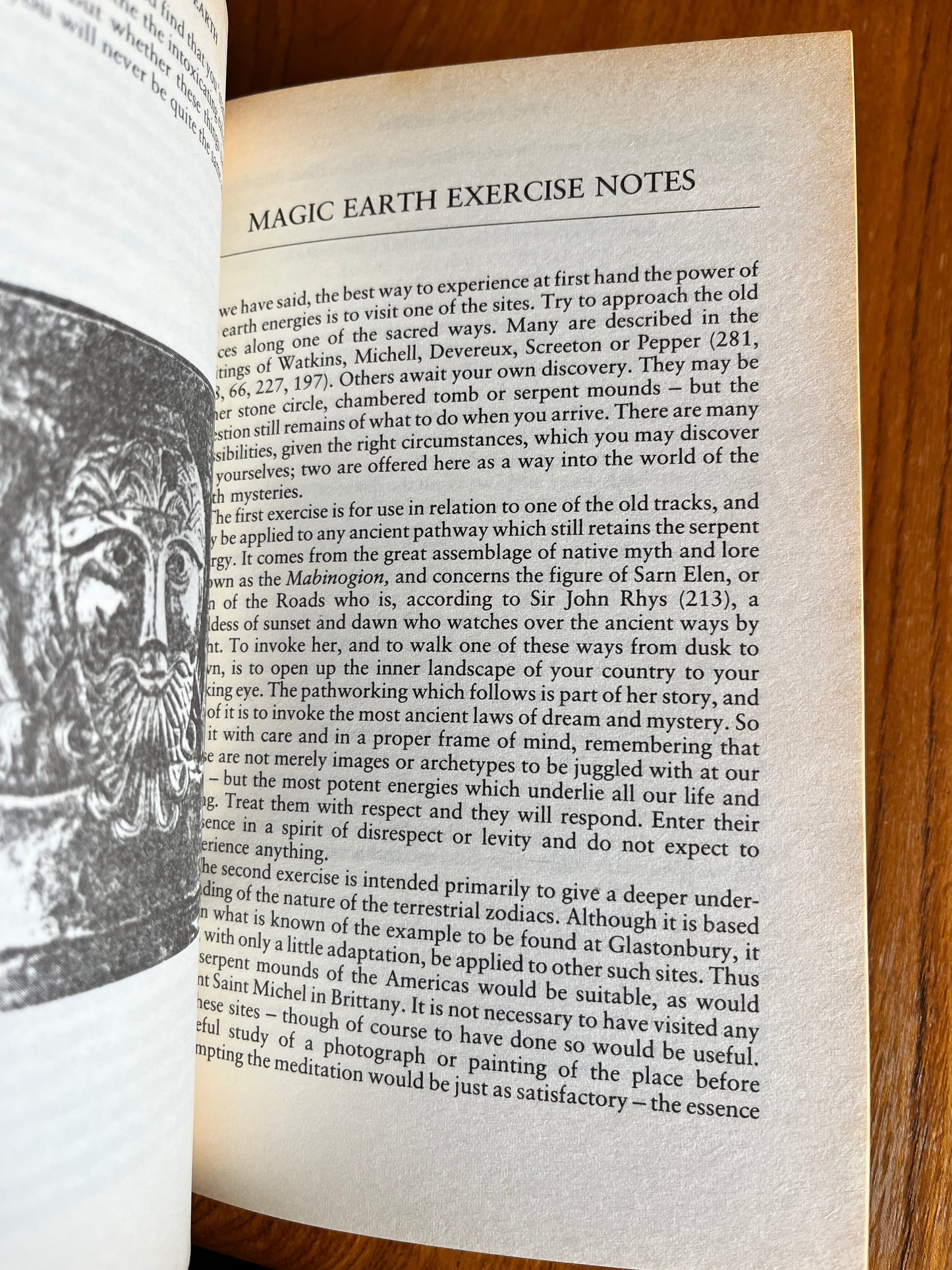 The Western Way: A Practical Guide to the Western Mystery Tradition - Caitlín & John Matthews