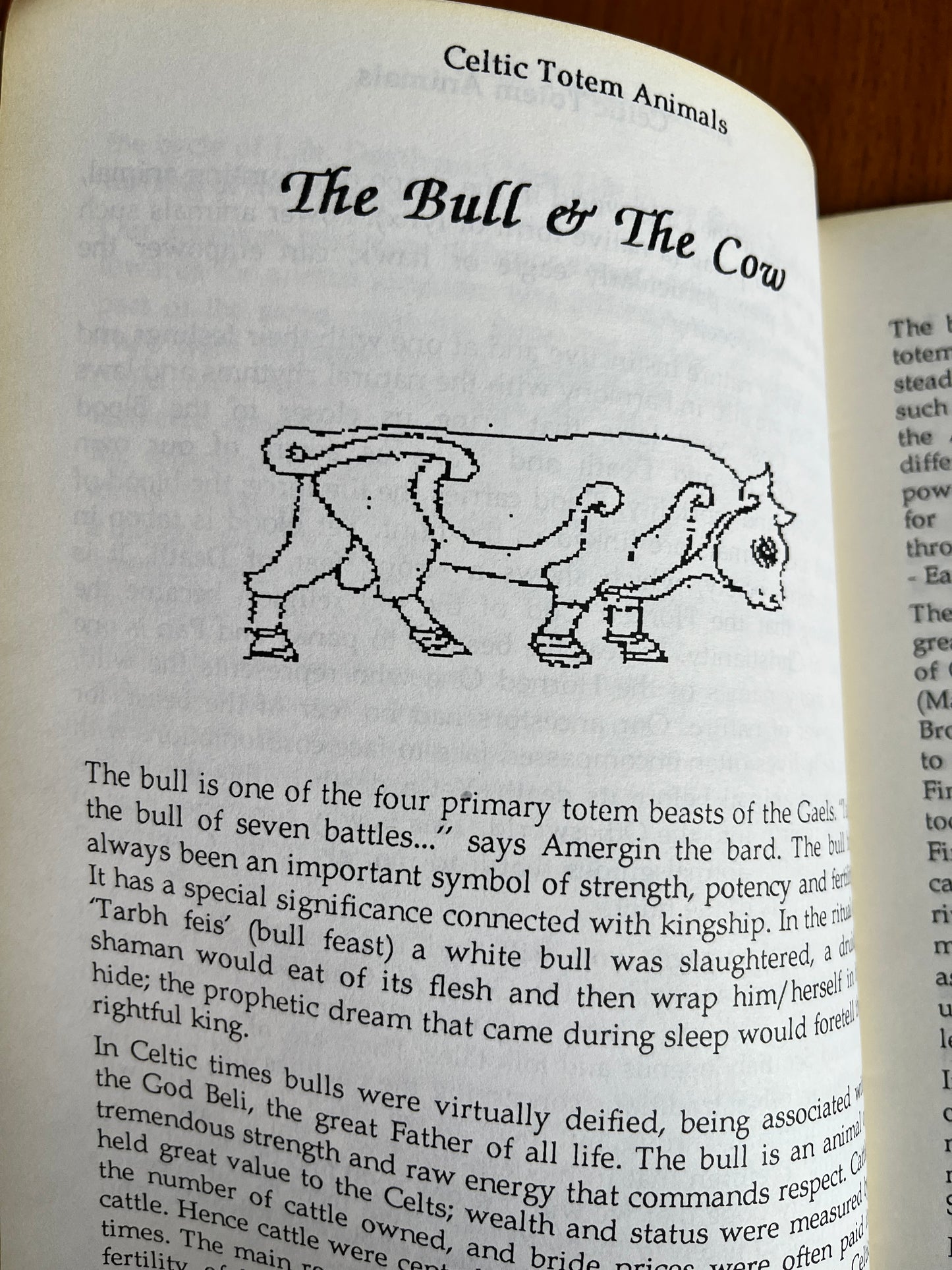 Celtic Totem Animals - Lorraine MacDonald (RARE Zine, Review Copy)