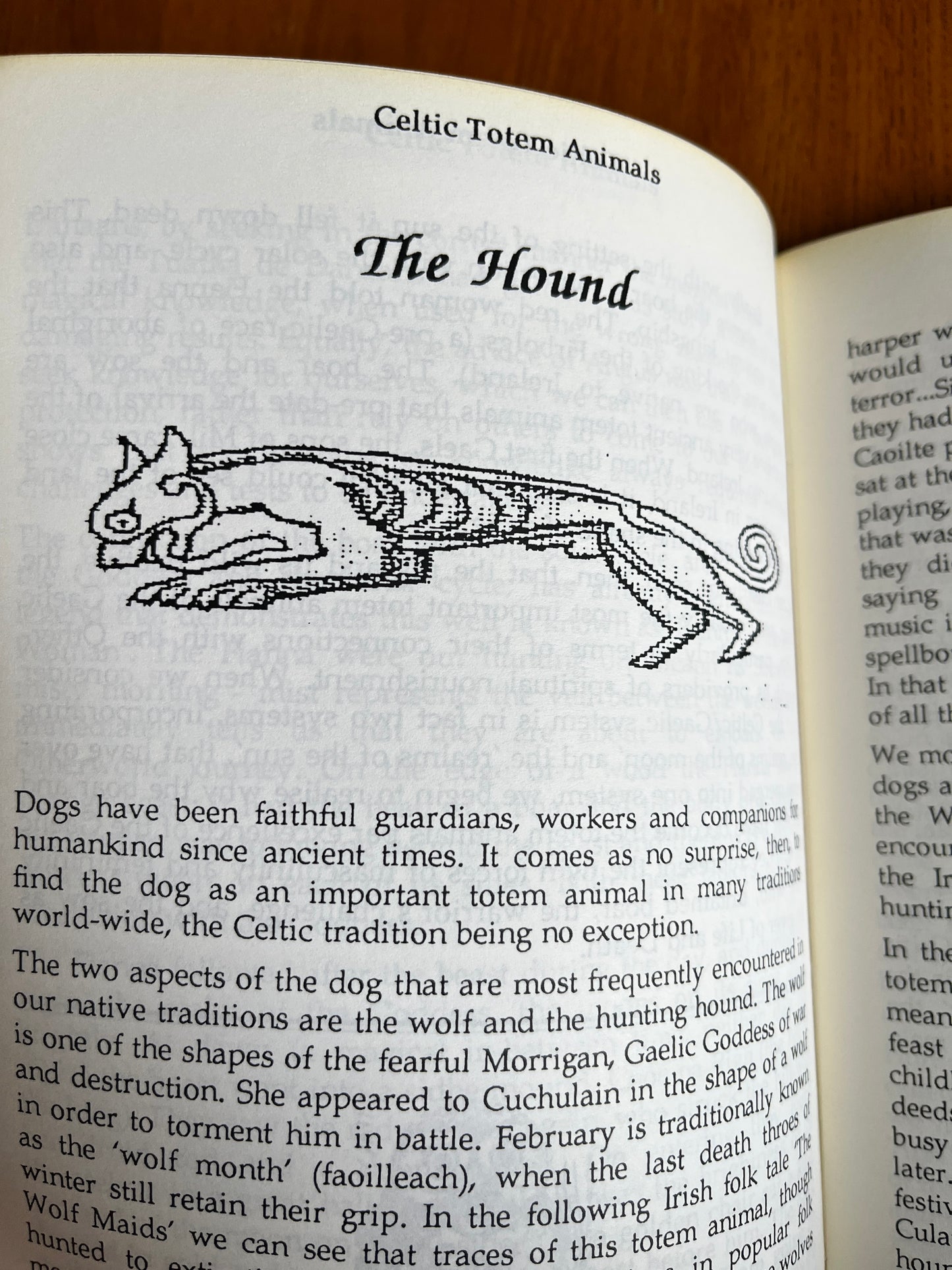 Celtic Totem Animals - Lorraine MacDonald (RARE Zine, Review Copy)