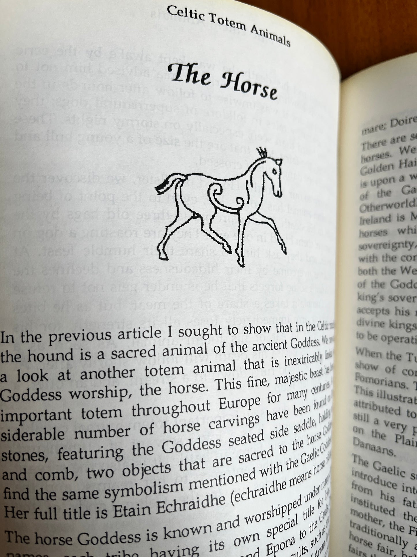 Celtic Totem Animals - Lorraine MacDonald (RARE Zine, Review Copy)