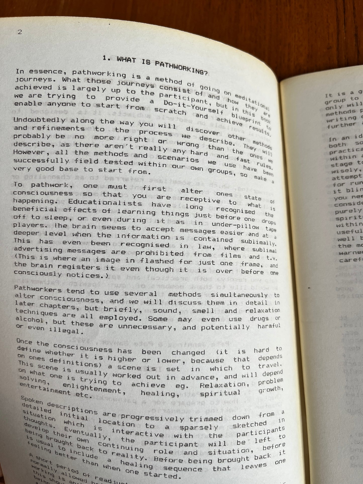 Pathworking - Pete Jennings and Pete Sawyer (RARE Zine, 1992)