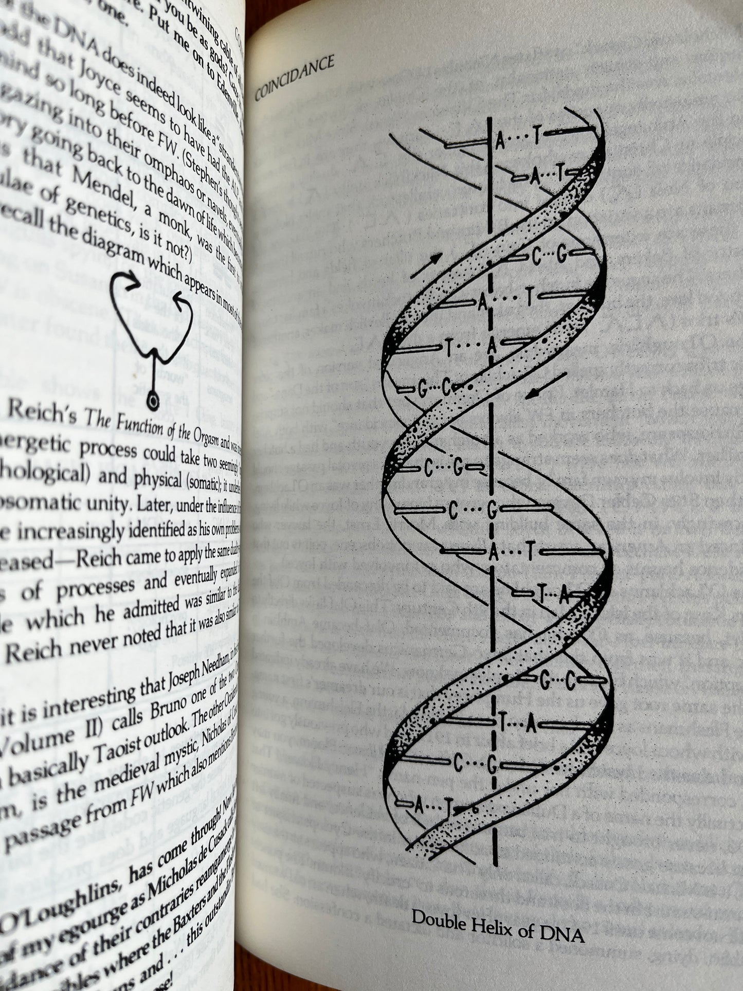 Coincidence - Robert Anton Wilson (First Edition)