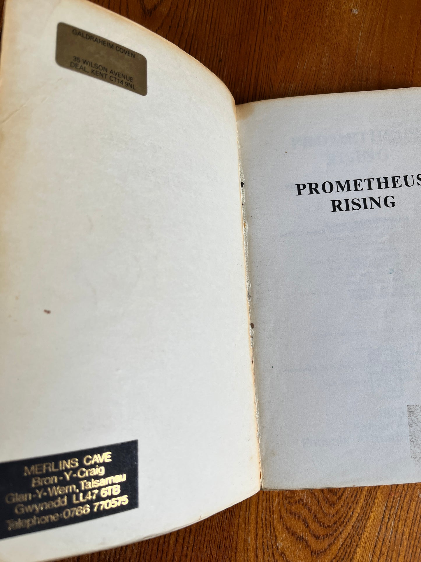Prometheus Rising - Robert Anton Wilson (First Edition)