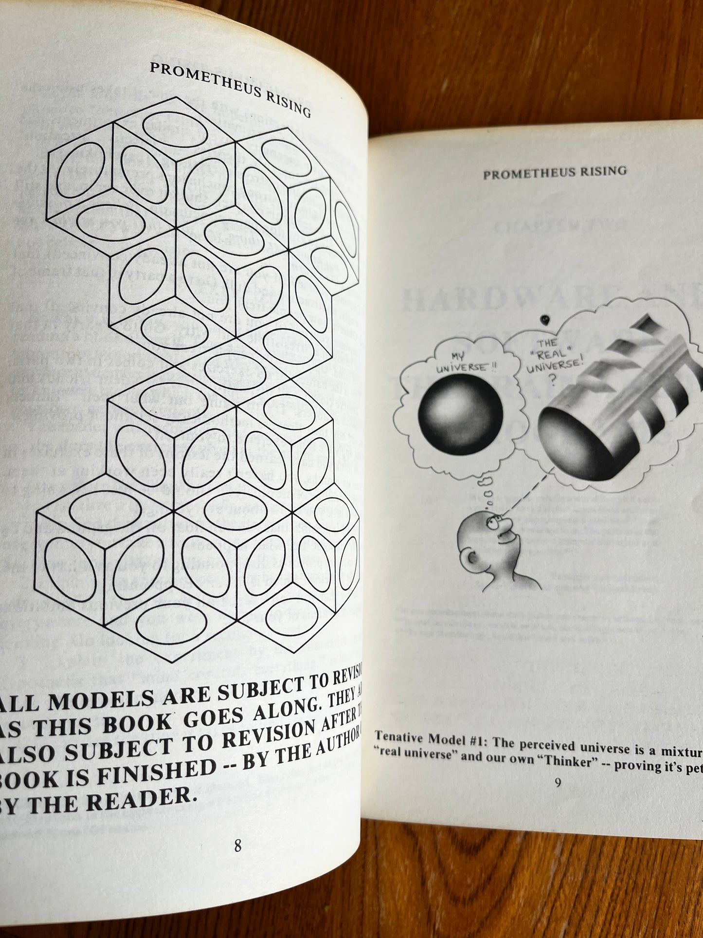 Prometheus Rising - Robert Anton Wilson (First Edition)