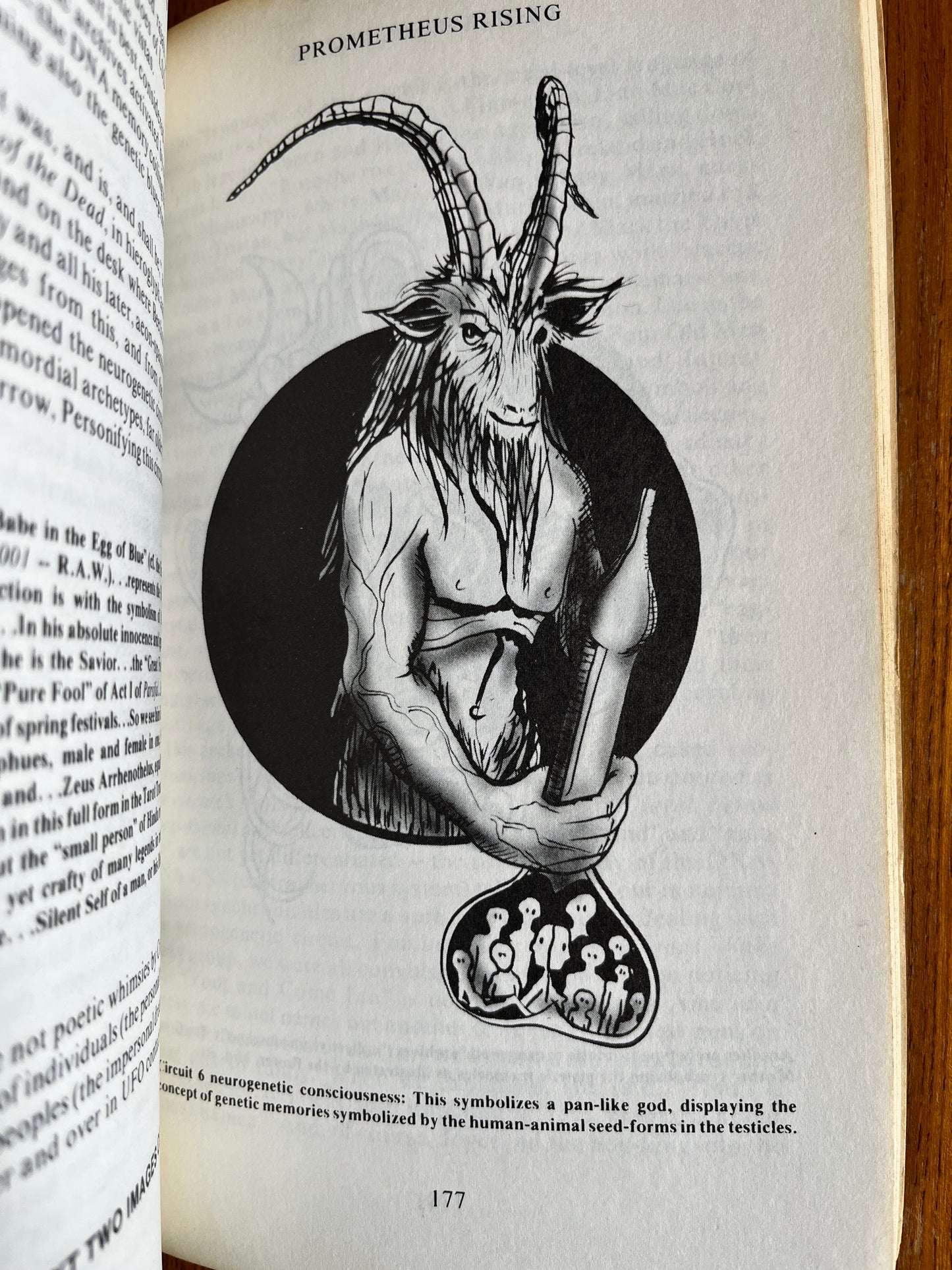 Prometheus Rising - Robert Anton Wilson (First Edition)