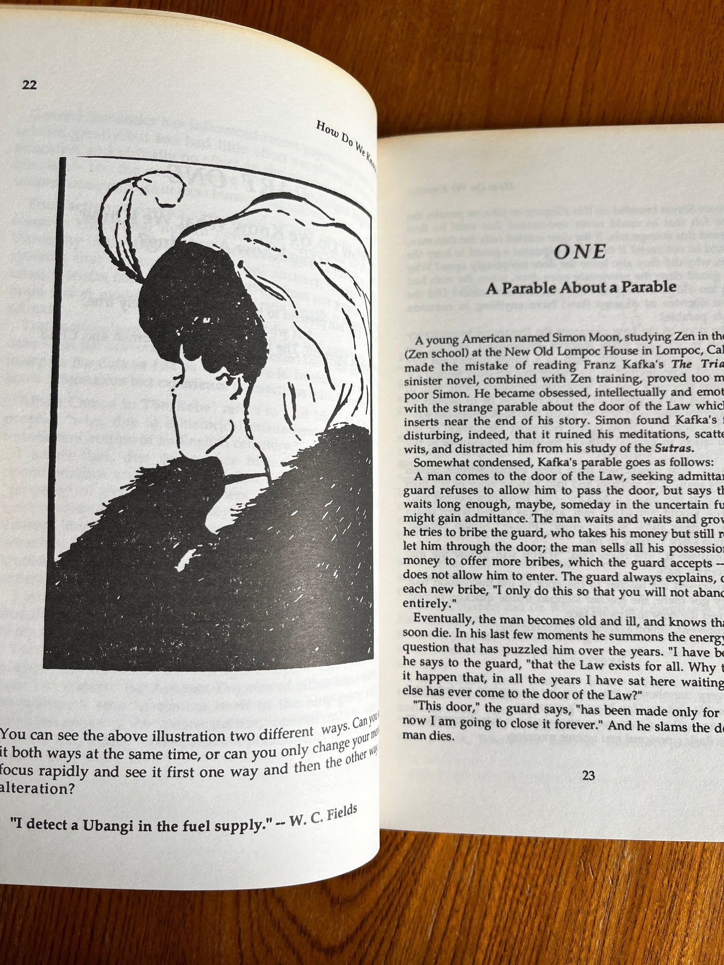 Quantum Psychology - Robert Anton Wilson (First Edition)