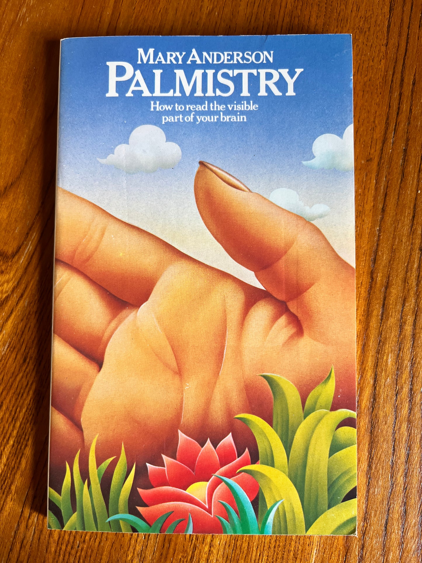 Palmistry - Mary Anderson