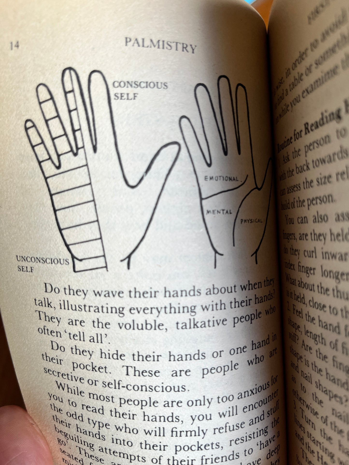 Palmistry - Mary Anderson