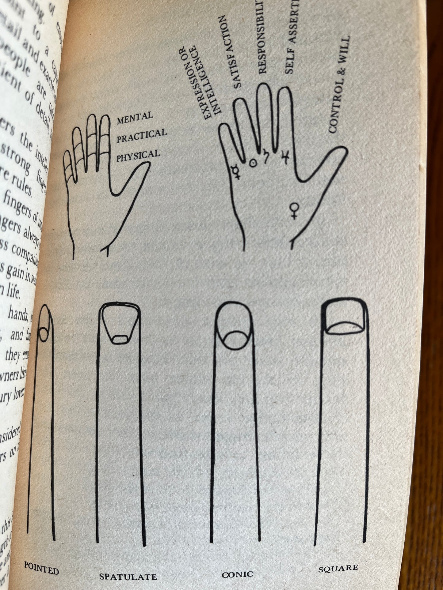 Palmistry - Mary Anderson