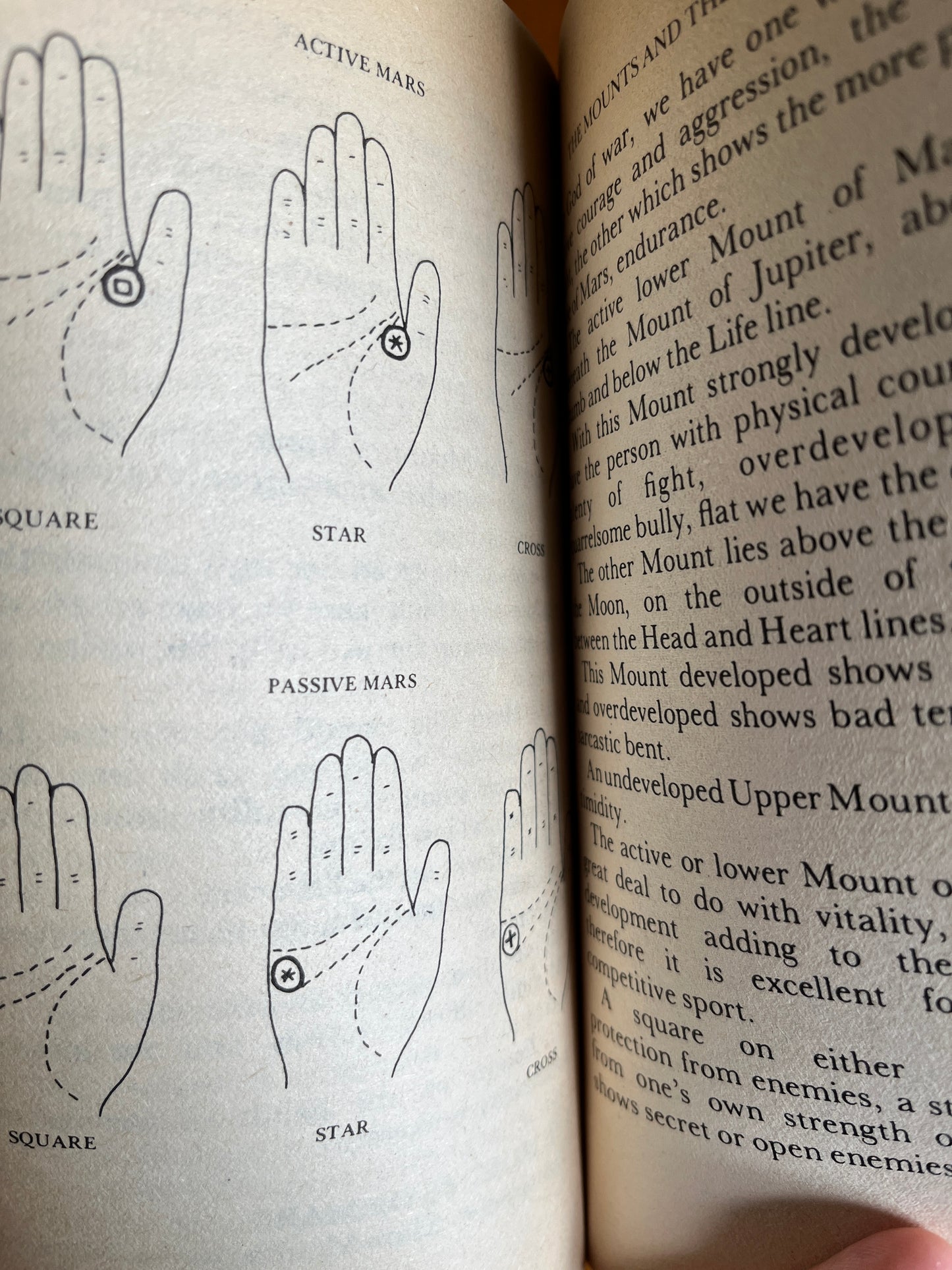 Palmistry - Mary Anderson