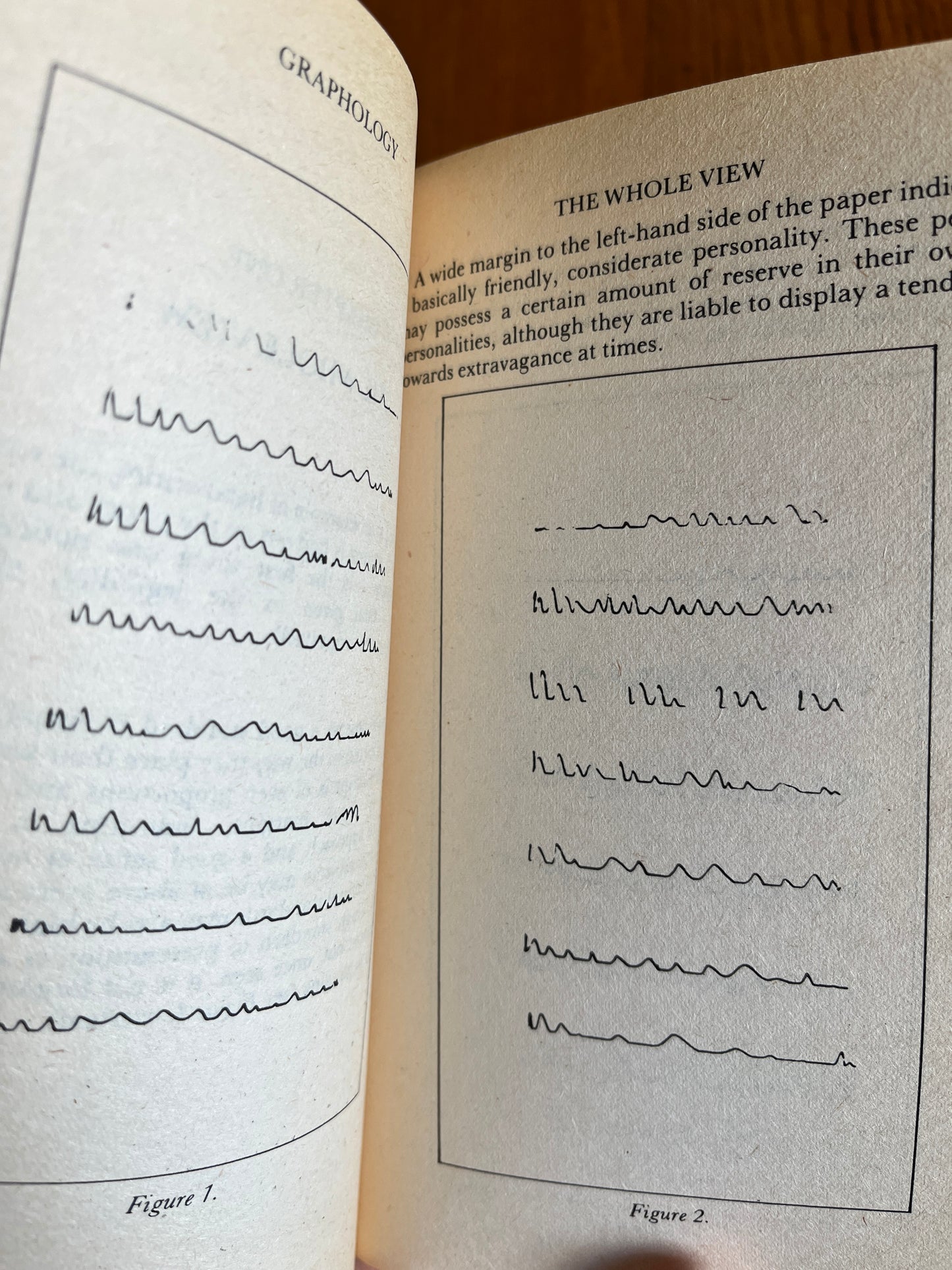 Graphology: Understanding What Handwriting Reveals - Peter West (First Edition)
