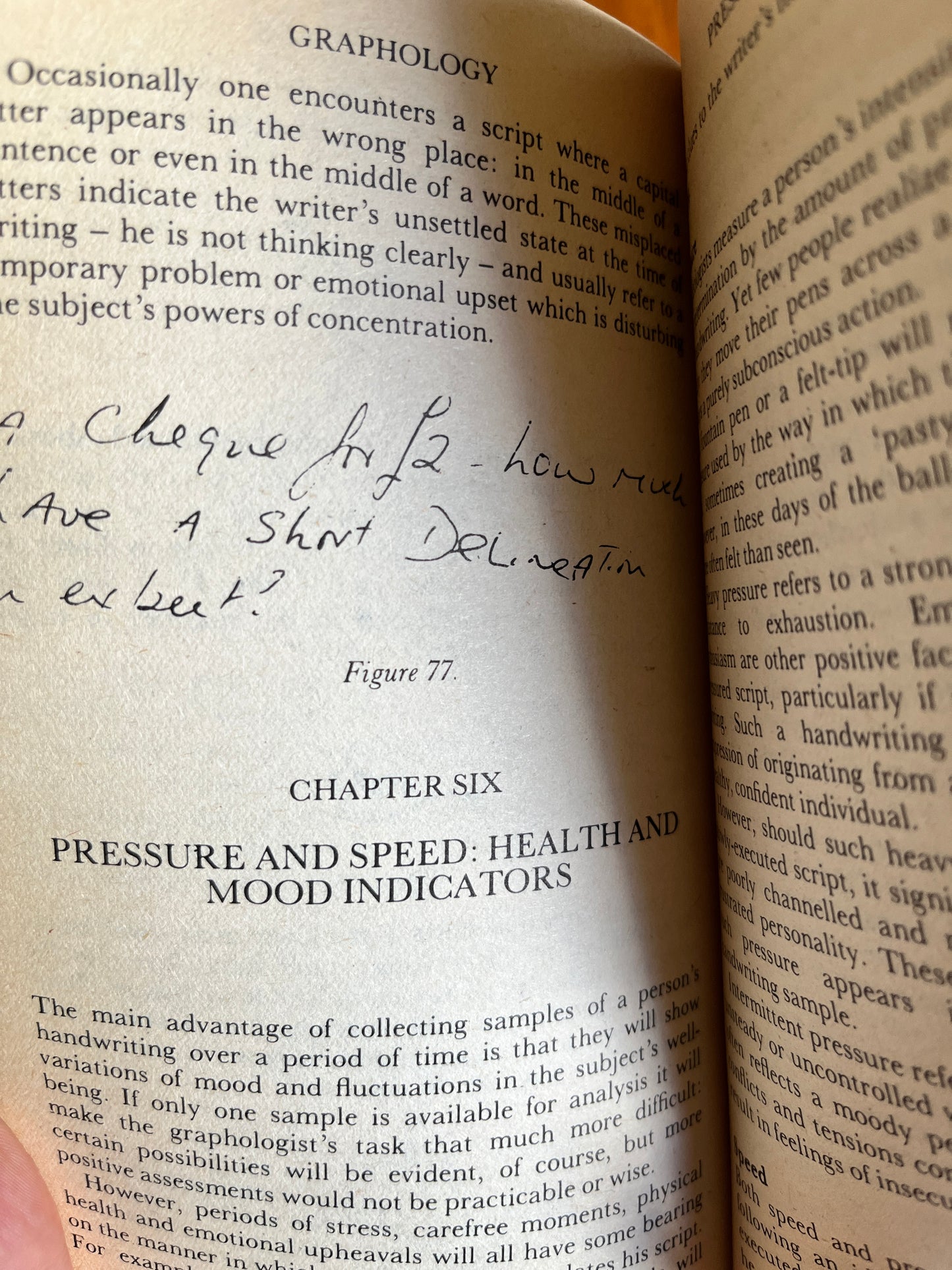 Graphology: Understanding What Handwriting Reveals - Peter West (First Edition)